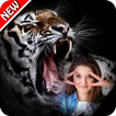 Tiger Photo Frames