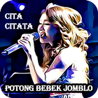 Mp3 Potong Bebek Jomblo Cita Citata Zeichen