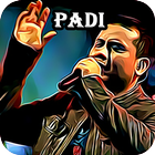 Top Mp3 Padi Terlaris icon