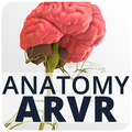Anatomy ARVR