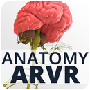 Anatomy ARVR APK
