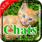Adopter un Chat icon