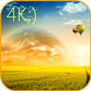 Heat 4K Live Video Wallpaper APK