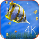 Top New HD Live Wallpapers APK