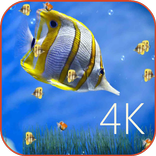 Top New HD Live Wallpapers