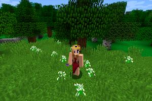 Skins for Minecraft capture d'écran 1