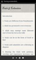 Trials and Calamities تصوير الشاشة 1