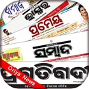 Oriya News Hub APK