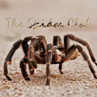 Spider Club Of Southern Africa simgesi