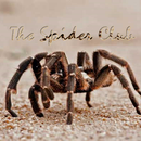 Spider Club Of Southern Africa aplikacja