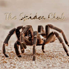 Spider Club Of Southern Africa-icoon