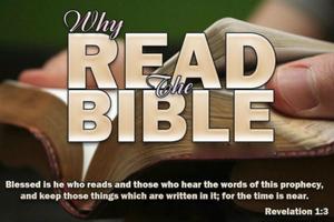 Yoruba Bible Offline - Bibeli 스크린샷 2