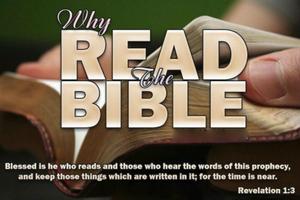 Yoruba Bible Offline - Bibeli скриншот 2