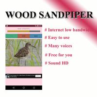 Sound per bird, freshwater lane screenshot 1