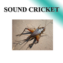 Cricket sound APK