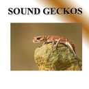 Gecko sweet voice APK