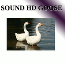 Goose voice APK