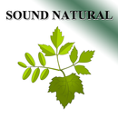 Ontspannende natuurgeluiden-APK