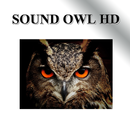 Owl owl sound APK