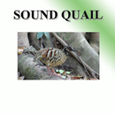 Wachtel Vogel Sound APK