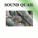 Partridge sound to birds. APK