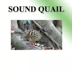 Partridge sound to birds. APK download