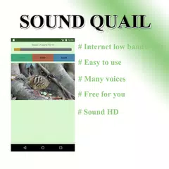 Partridge sound to birds. APK download