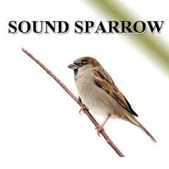 Sparrow