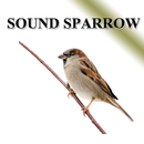 Sons d'oiseaux Sparrow APK
