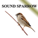 Sparrow Vogelstimmen APK