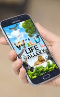 Wild Life Gallery plakat