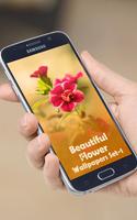 Beautiful Flowers Wallpapers Affiche
