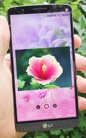 Beautiful Flowers Wallpapers 截图 1