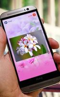 Beautiful Flowers Wallpapers syot layar 3