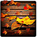 Autumn Live Wallpaper APK