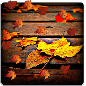 Autumn Live Wallpaper icon