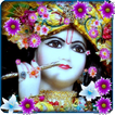 Lord Krishna Live Wallpaper