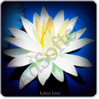 Lotus Live Wallpaper आइकन