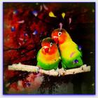 Love Birds Live Wallpaper icône