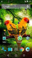 Love Birds Live Wallpaper постер