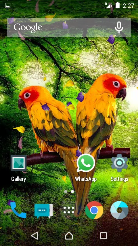 Love Birds Live Wallpaper APK for Android Download Love Birds Live Wallpaper APK for Android Download
