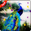 Peacock Live Wallpaper APK