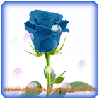 Rose Live Wallpaper simgesi