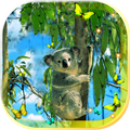 Talking Coala Bear