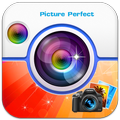 Picture Perfect