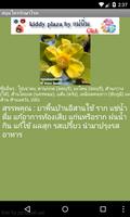 برنامه‌نما Medicinal herbs عکس از صفحه