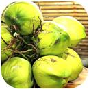 Health Benefits Of Coconut APK