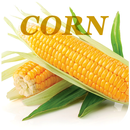 Health Benefits Of Corn APK