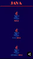 Java ảnh chụp màn hình 1