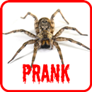 Spider Scare Prank APK